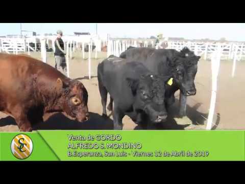 12-04-19 - Venta de Gordo - Alfredo S. Mondino . B.Esperanza (S.L.)
