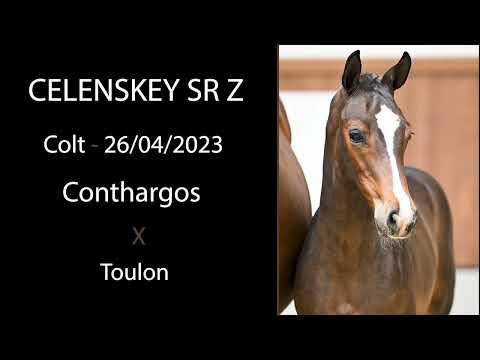 Celenskey SR Z (Conthargos x Toulon)