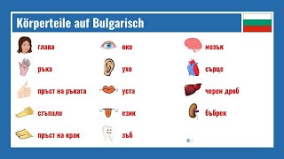 Körperteile auf Bulgarisch