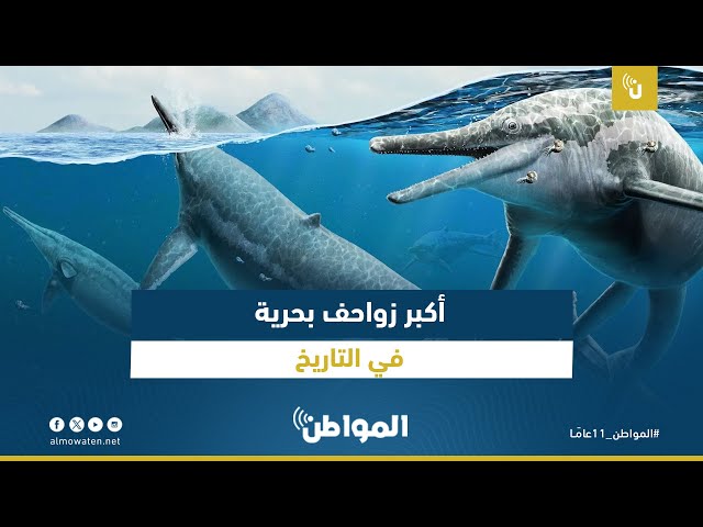 أكبر زواحف بحرية في التاريخ