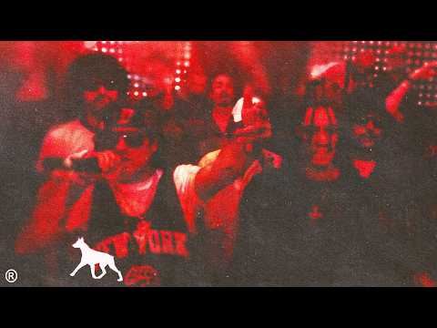 Perro Negro, Tommy Blanco, Vei Habache, Fanta Rosario - Ponte Bellaquita (Visualizer)