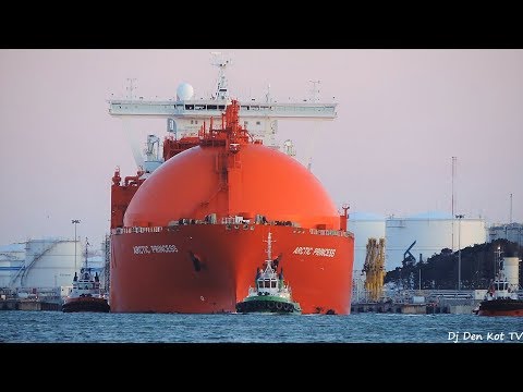 Arctic Princess in Klaipeda Port 2020