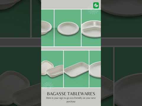 12 Inch Bagasse 4 Compartment Plate , Eco-Friendly Disposable Sugarcane Meal Plate