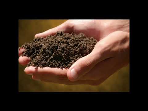 Din țesuturi nevăzute - Grup de tineri din Bihor, Arad