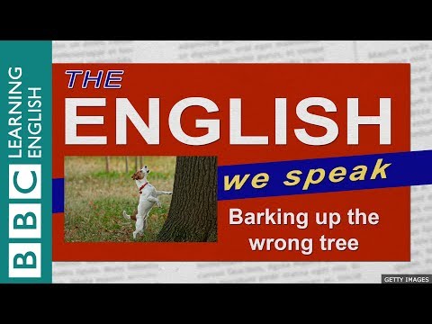 Barking up the wrong tree: The English We Speak