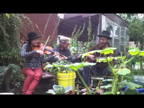 Autumn Equinox - The Bucket Garden Stringband
