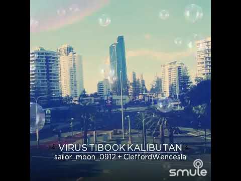 Viros Tibook Kalibutan