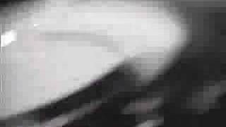 Pansy Division - &quot;I Really Wanted You&quot; Lookout! Records