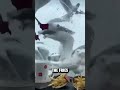 Seagull Invasion Hungry Birds Attack Over McDonalds Fries