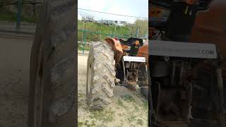 Tracteur &agrave; roues Fiat 640 | 3.5 Diesel | 4x2 | Farm Tractor | Image 4 - Agroline