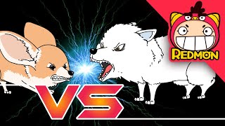 Fennec Fox vs Artic Fox | Animal battle | funny video | REDMON