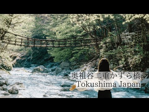 深山に架かる秘境の二重橋/奥祖谷二重かずら橋　Oku-Iya Double Vine Bridges: Two secluded vine bridges deep in the mountains