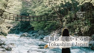 深山に架かる秘境の二重橋/奥祖谷二重かずら橋　Oku-Iya Double Vine Bridges: Two secluded vine bridges deep in the mountains