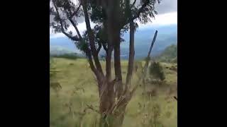 Download lagu berteriak di alam bebas bisa meredakan stresss mp3 Download lagu berteriak di alam bebas bisa meredakan stresss mp3