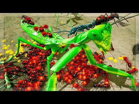 The REAL Final Experiment SECRETS Begin NOW in Empires Of The Undergrowth