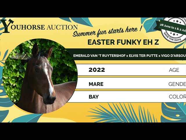 Youhorse auction Easter Funky EH Z youhorse-auction-easter-funky-eh-z