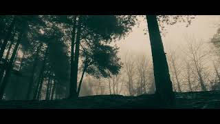 Arab Strap - Last orders (Lyrics /subtitulos en Español )