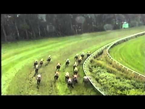 05.07.1998 Hamburg 6.Rennen BMW 129. Deutsches Derby 1998 Gruppe I 2.400m