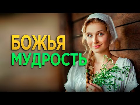 #284 Божья мудрость - Алексей Осокин - Библия 365 (2 сезон)