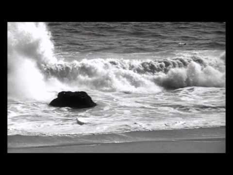 KöSHRiMP -  美人魚WAVE