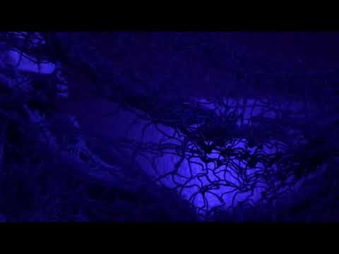 Cheap Productions Presents: “Trying To Find Out Myself” Season 2 Episode 2 “Robo570”