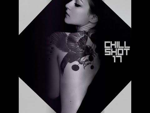 Chill Breakbeat Shot 17 (atmospheric breaks/uk garage 2022 live mix)