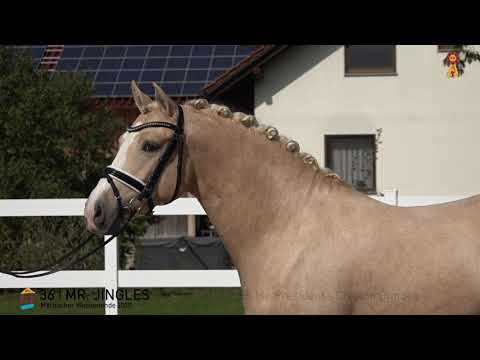 36 Mr. Jingles v. FS Mr. President - Creston Dundee  *MARBACHER WOCHENENDE 2020*