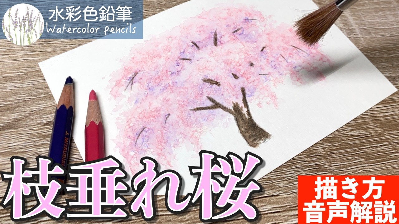 【水彩色鉛筆】枝垂れ桜の簡単な描き方 #初心者 #水彩色鉛筆 #水彩 #描き方 #painting #drawing