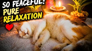 Cozy Rain with Sleeping Cat ASMR 🌧️ Soothing Rain Sounds for Deep Sleep, Study & Relaxation