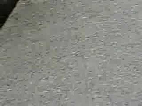 Vitrum - Frassati Fajsławice