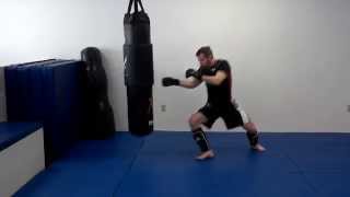 preview picture of video 'Heavy Bag Review and Demonstration for MaxX MMA's Water / Air Heavy Bag'