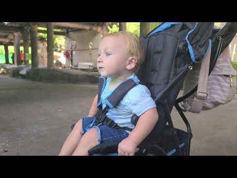 Blake checking out the hippo tank!