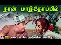 நான் மாந்தோப்பில் Naan Mandhoppil Enga Vettu Pillai Video Song MGR M
