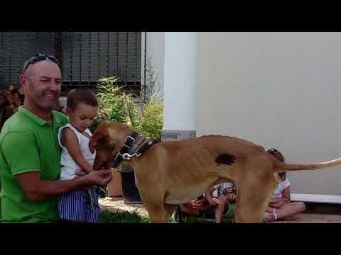 Set, un gran amigo en el Campus La Fábrica Espartinas