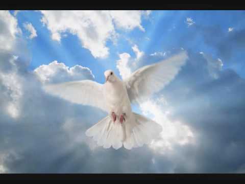 White Dove - Lynyrd Skynyrd