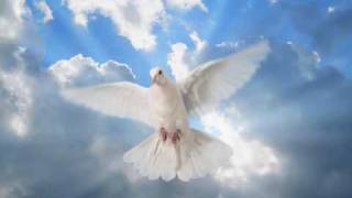 Lynyrd Skynyrd - White Dove