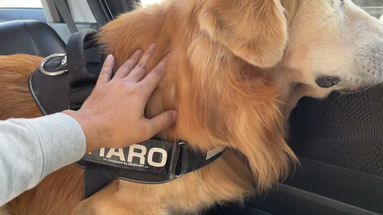 病院にいきます