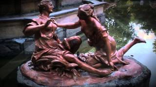 Dreaming in Darkness