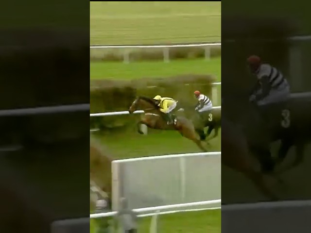 Thumbnail for Post ID: gXP85lTVX4c