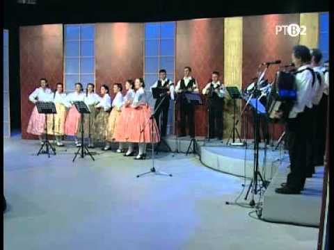 DRUHIM HRAJU - Kocurski krasavici