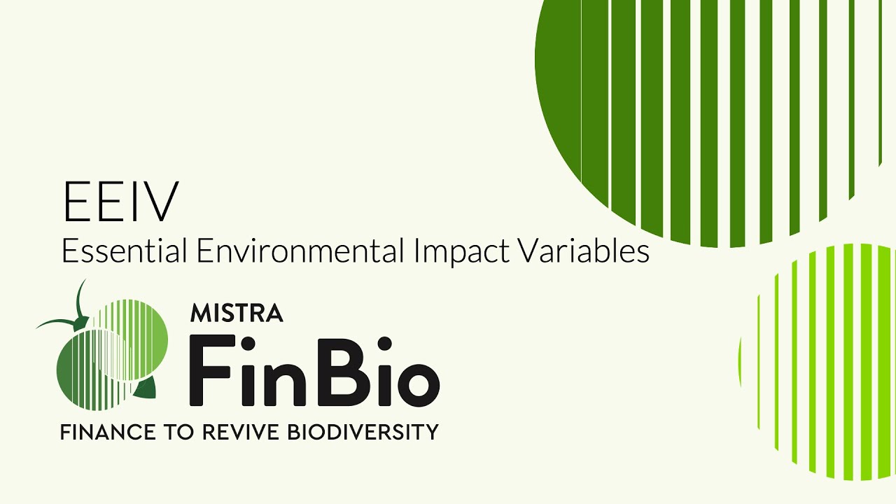 Essential Environmental Impact Variables - EEIVs