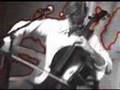 Ben Sollee Live - Sink'em Low 2007