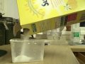 Electrolux Aqualux EW1006f Overload Part 1