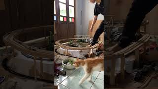 Download lagu Tes jalan #mainananak #keretaapiuap #keretaapiindonesia #diorama #railking #railkingjumbo #mainan mp3