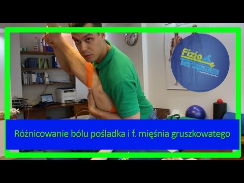 Mięsień cios w siatkówce Jak podkręcić mięśnie brzucha poprzecznych