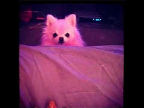 punkinloveee - hot mess (prod. by dullxx)