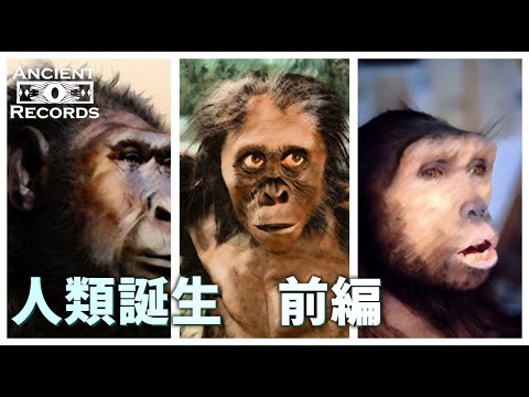 人類の家系図:新たな研究で人類の多様な過去が明らかに