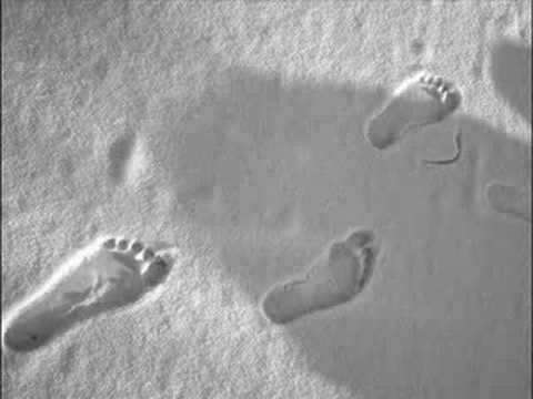 Desculti prin zapada