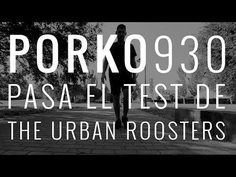 PORKO 930 Test a Freestylers X Urban Roosters