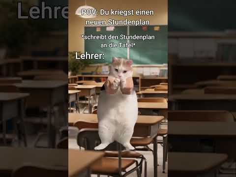 POV: Du kriegst einen neuen Stundenplan... 📅 #katzenvideos #katzen #shorts #schule